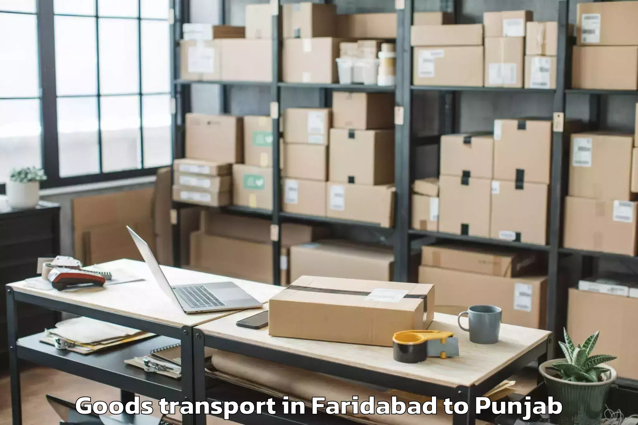 Faridabad to Nawanshahr Goods Transport